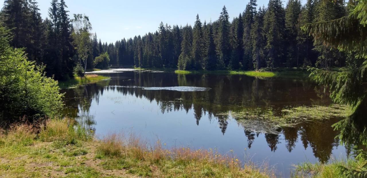 Penzion Jizerská Malina Bedřichov Esterno foto